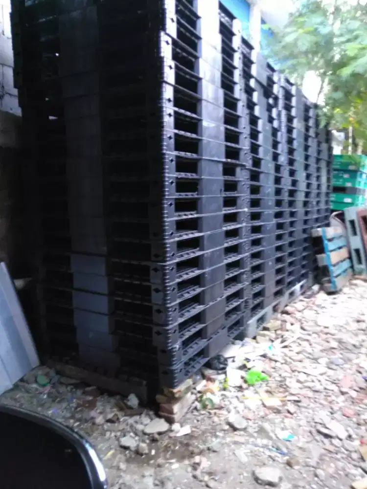 Palet plastik sunter