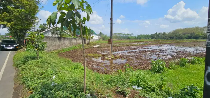 Dijual Tanah Sawah SHM 4900 M² Purwokerto