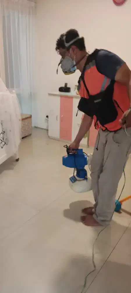 Pengendalian Tikus yang menggangu Taman dan Dekorasi Rumah anda