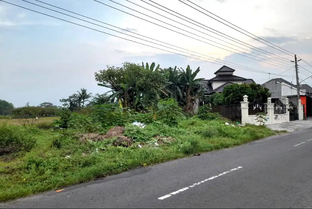 Tanah Pekarangan Strategis di Jalan Jambon