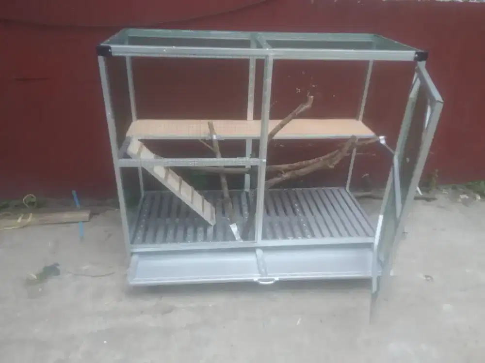 Kandang iguana minmalis