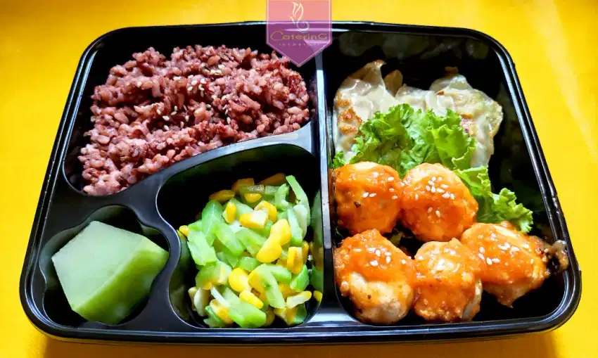 Catering Nasi merah, Chicken Meatball & Dumpling