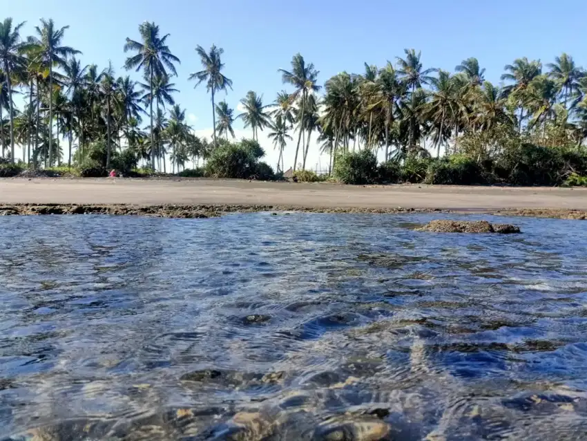 Beach front land di Perancak 30 menit ke pantai Medewi Bali