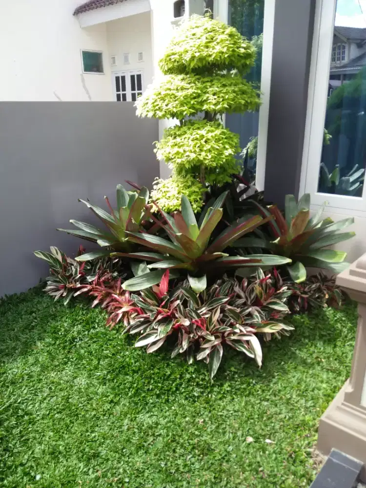 tukang taman dan kolam ikan