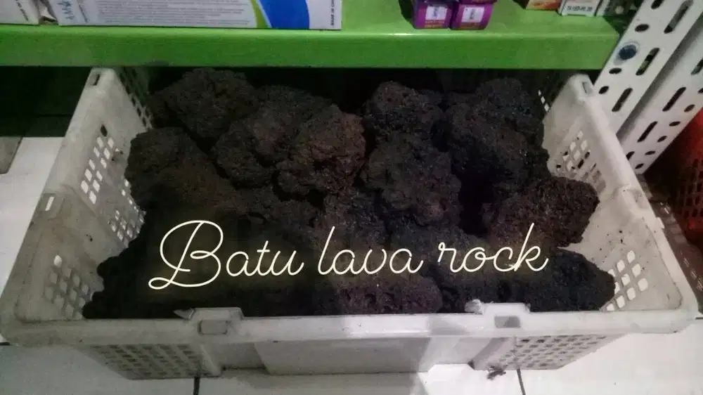 Batu lava rock dekorasi
