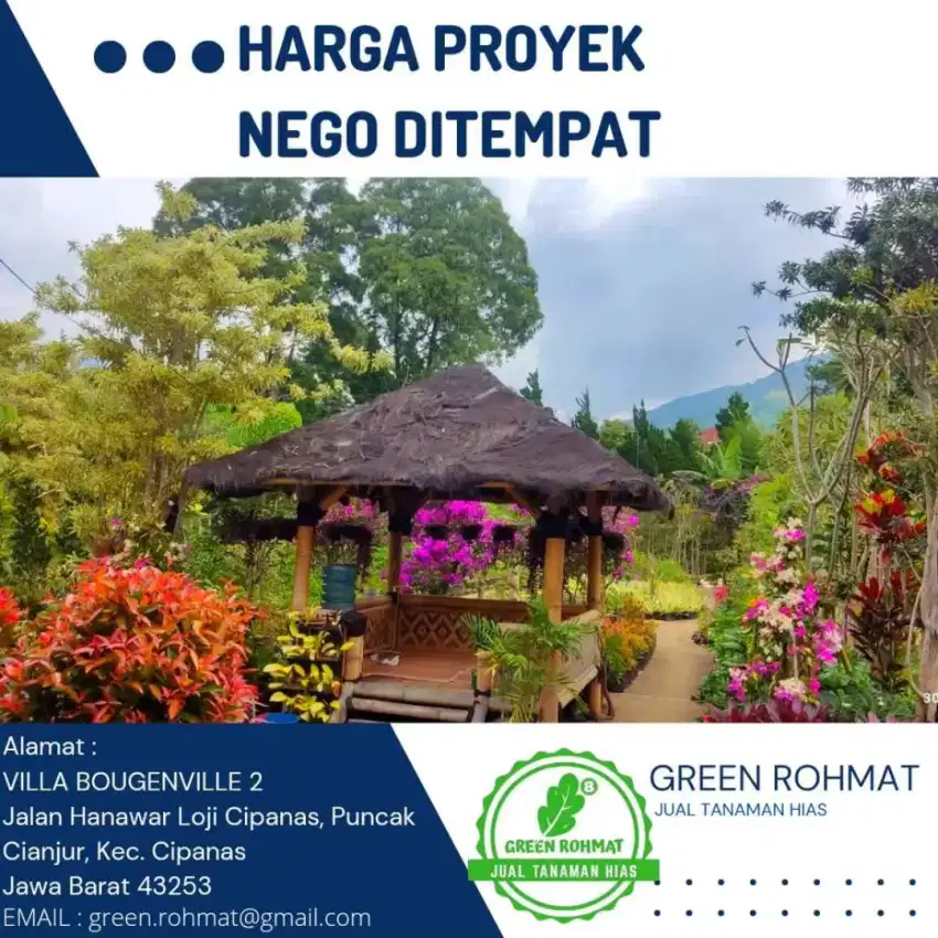 Jual Tanaman Hias  HARGA PETANI