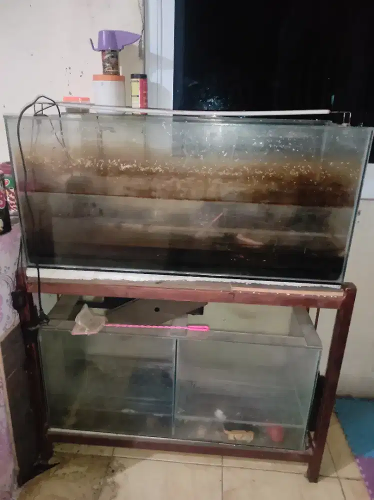 2 buah akuarium 90*40*40 beserta rak