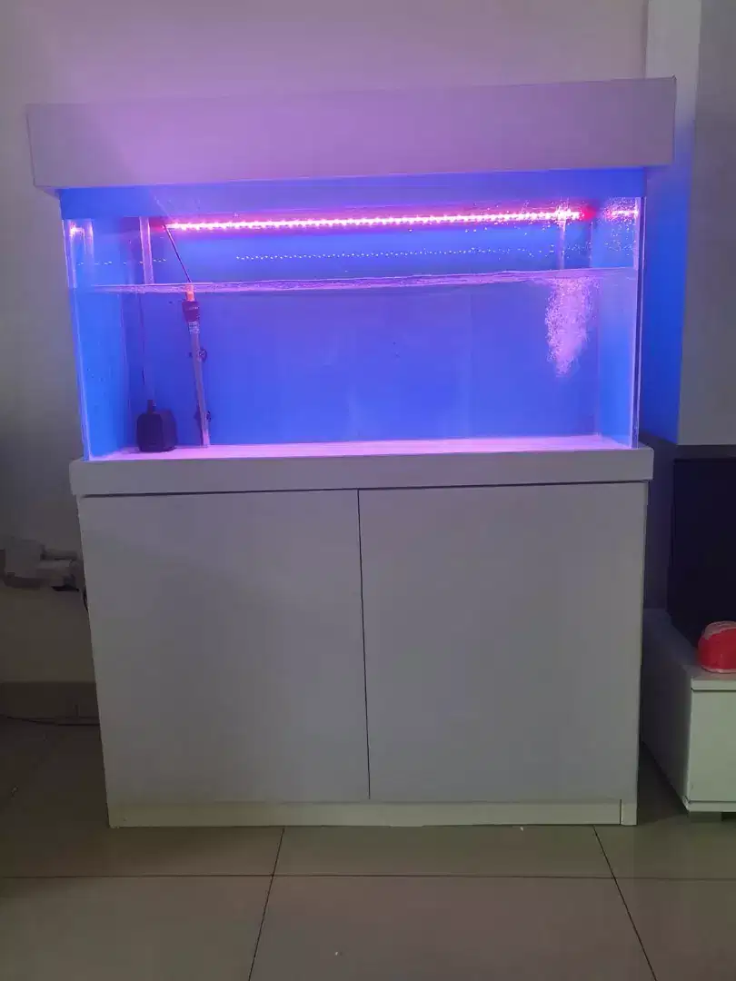 Aquarium bagus minimalis