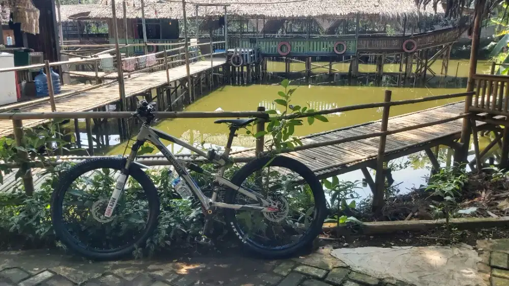 santa cruz chameleon specs