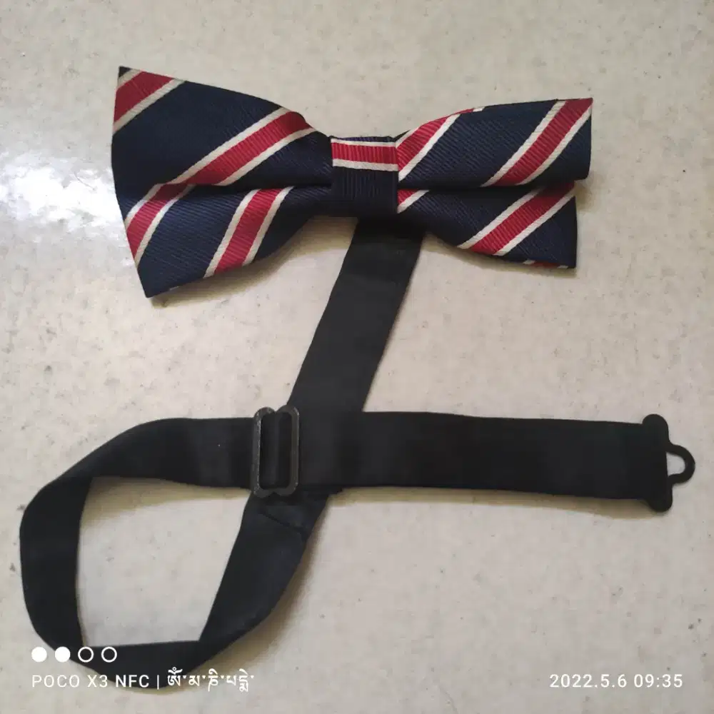 dasi kupu-kupu pria motif