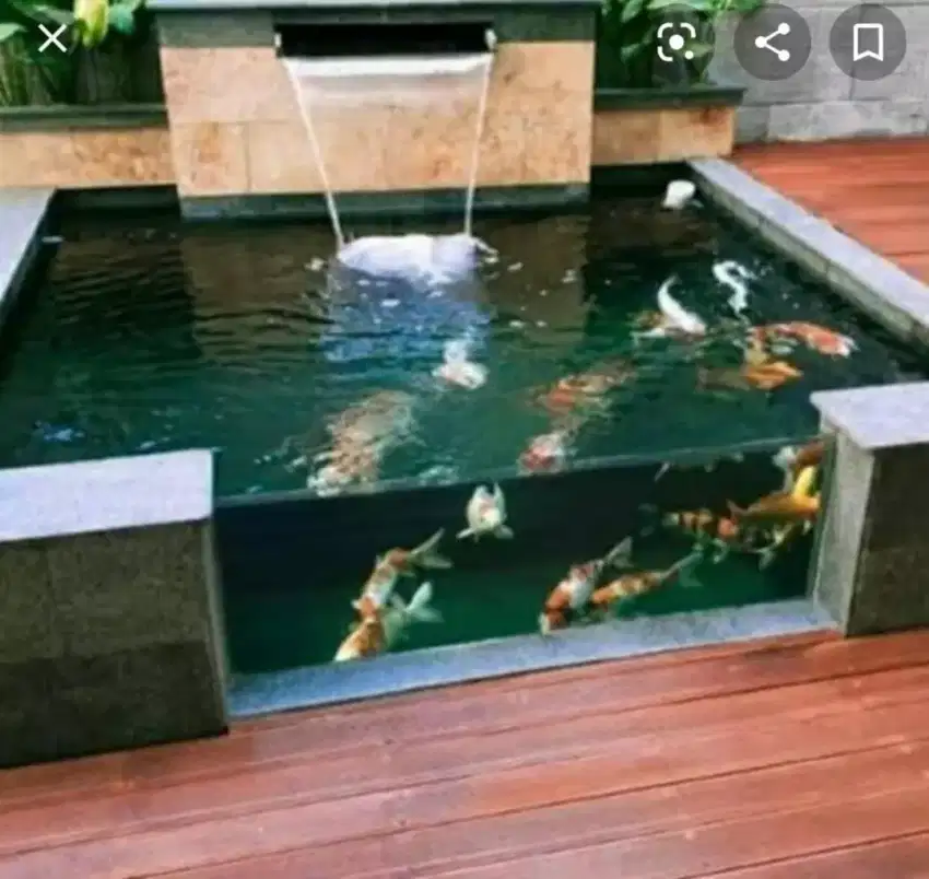 Spesialis kolam ikan