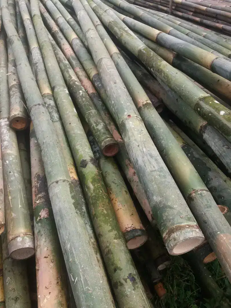 Jual bambu steger/umbul umbul/bambu cor/gombong kayu papan kaso2