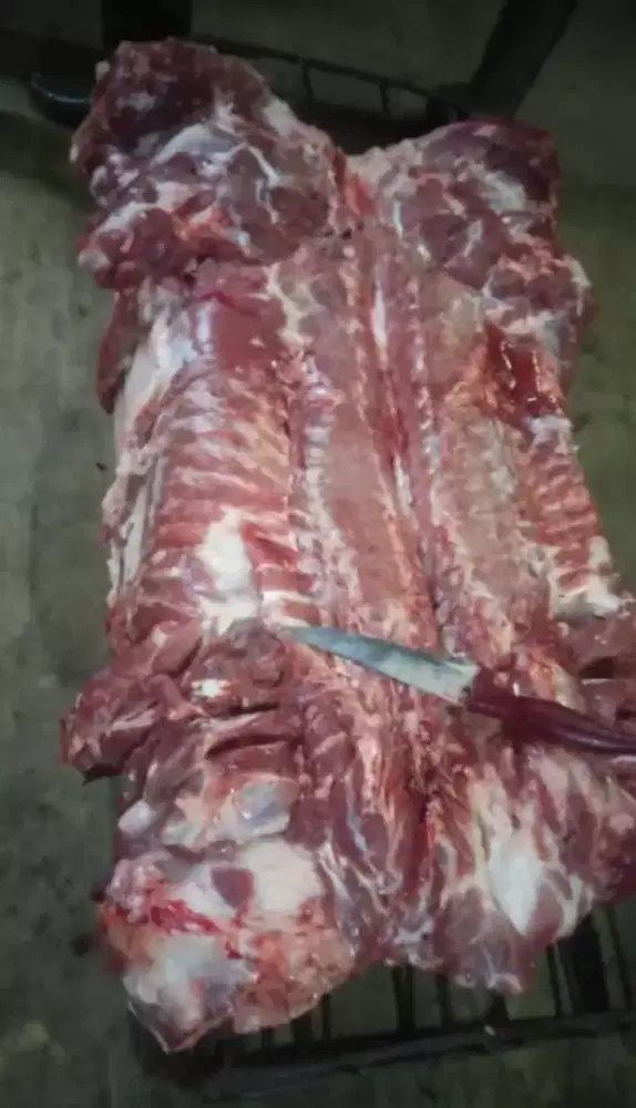 Jual jagal B2 dan B1