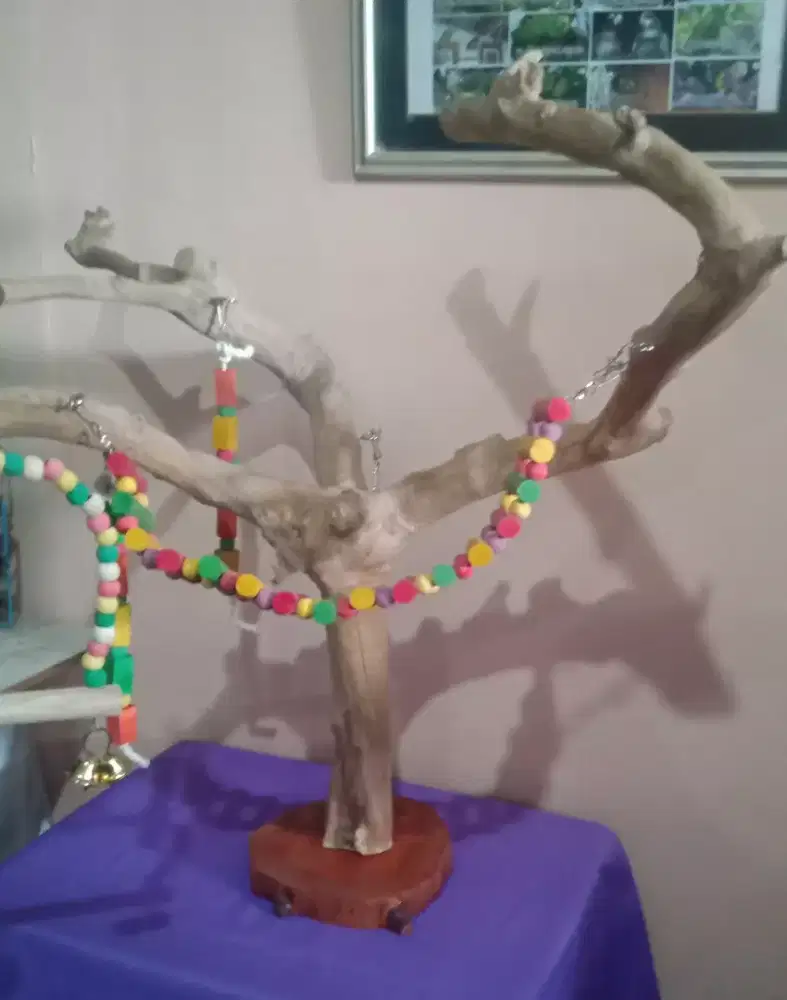 Pohon Kopi Tangkringan burung parrot komplit mainan dan t. mkn Elegant