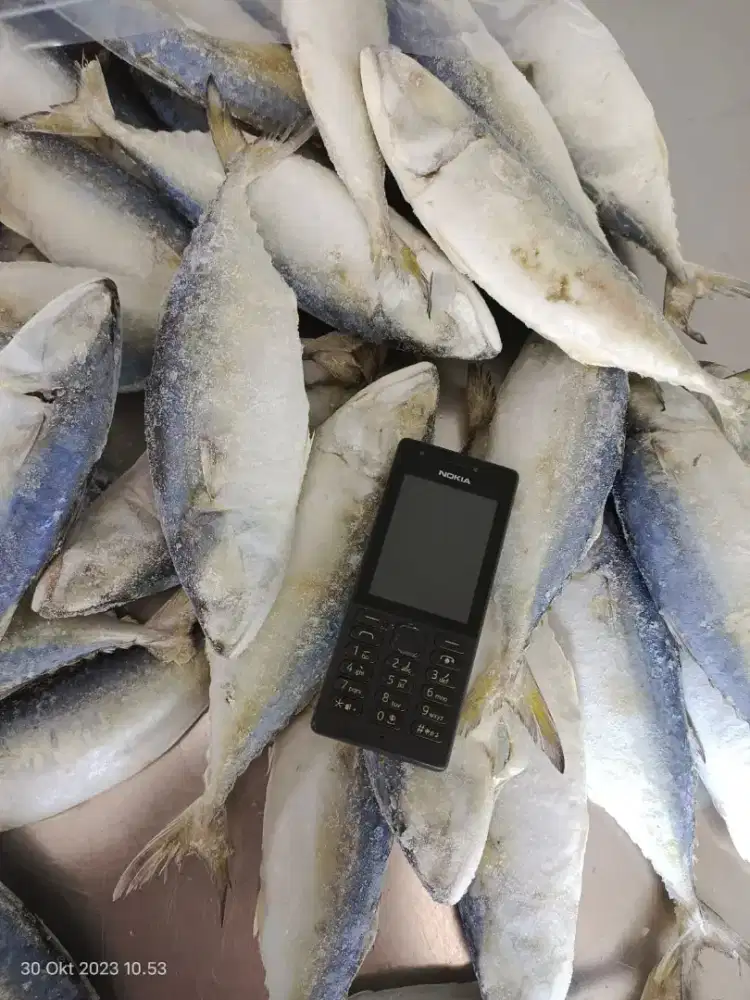 Cari karyawan yg mau jualan ikan asin