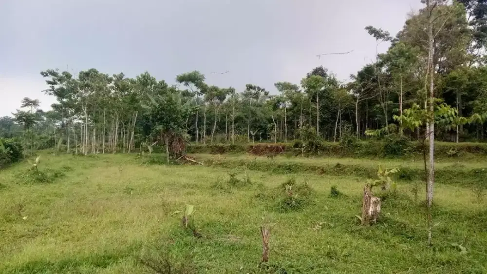 Dijual tanah pinggir j aspal, di kec. Nanggung, kab. Bogor, jawa barat