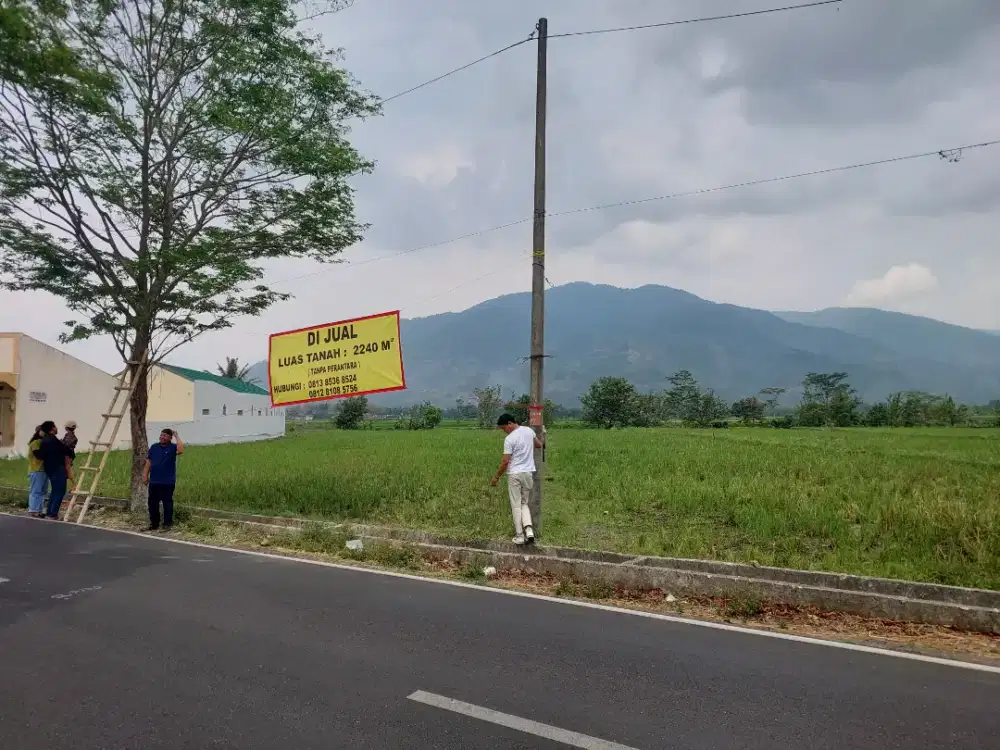 Dijual Sawah / Tanah