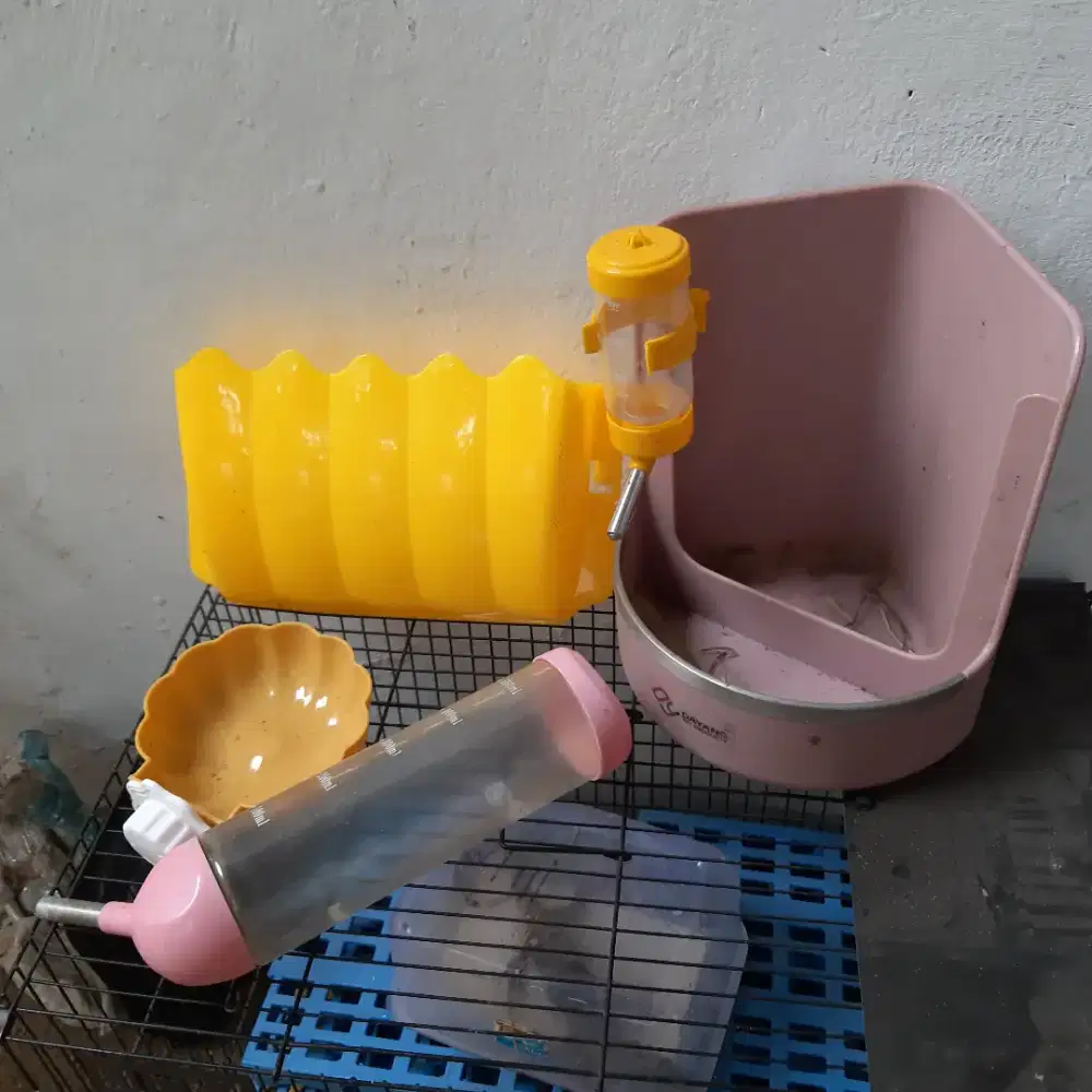 Tempat Makan/Minum Kelinci