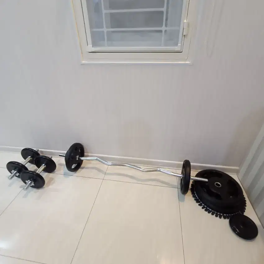 berywn dumbell set