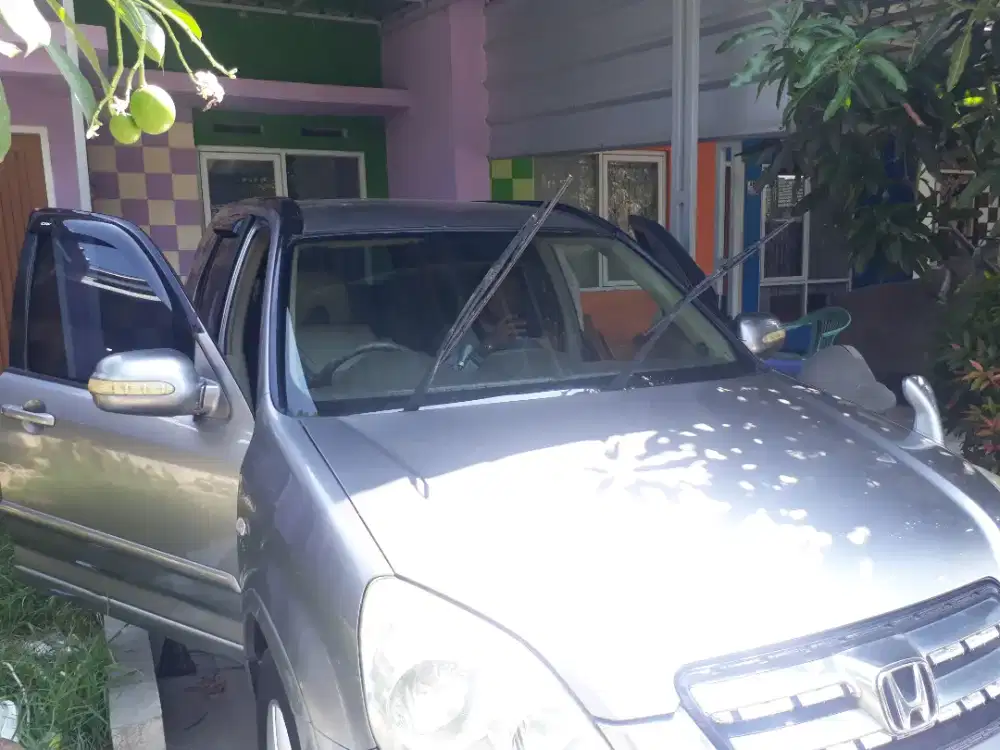 kaca film mobil home service