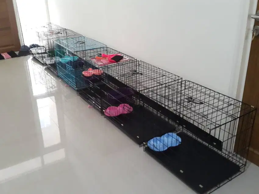 Penitipan PET HOTEL / Penginapan Kucing Surabaya Timur