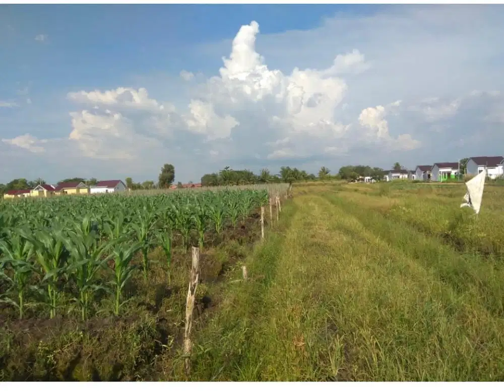 Tanah kosong 35 M X 270 M letak strategis cocok perumahan dan gudang