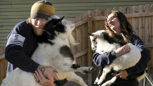 DOKTER HEWAN PANGGILAN, GROOMING, PENGOBATAN DAN VAKSINASI