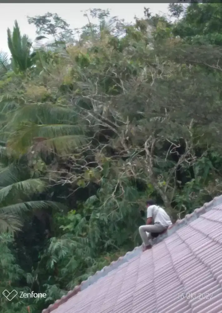 Jasa panggilan Pengecatan Genteng dan Perbaikan Kebocoran Atap