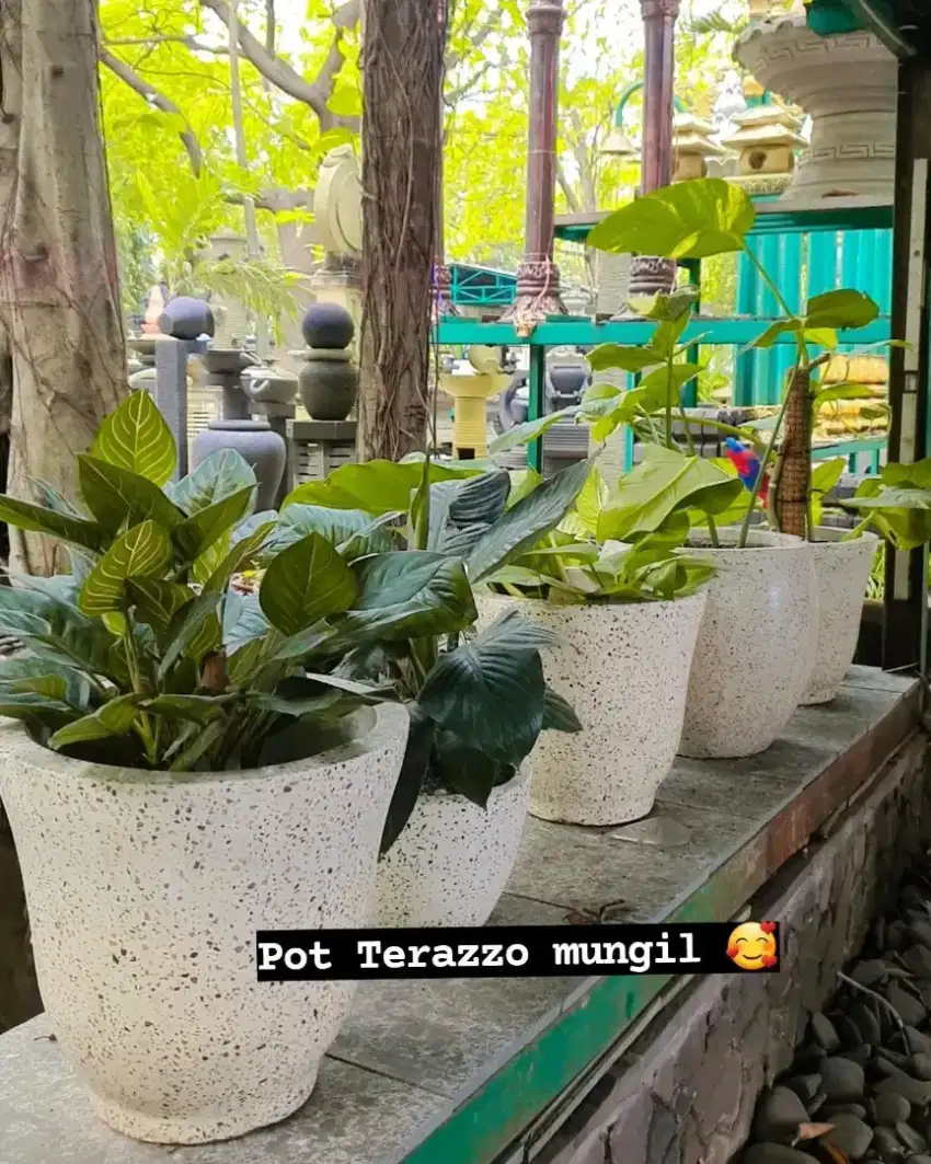 ANEKA POT TANAMAN TERAZZO