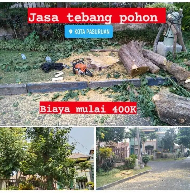 Tebang pohon area Pasuruan