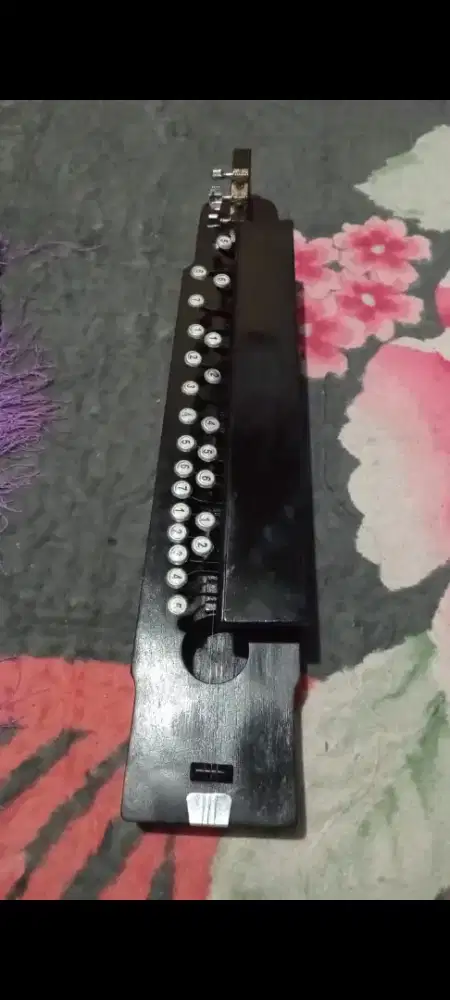 mandolin / mandoliong