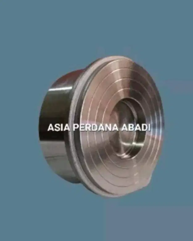 JUAL CHECK VALVE SINGLE DISC PN40 STAINLESS 304 TERDEKAT SURABAYA
