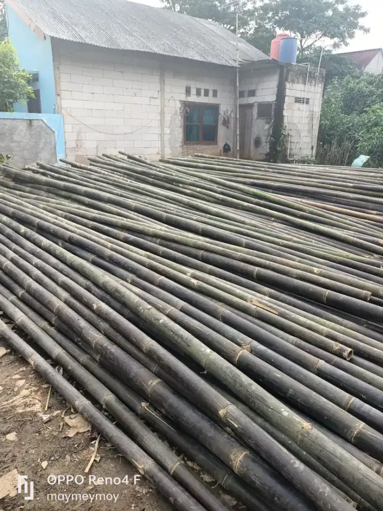 Bambu steger 7 meteran