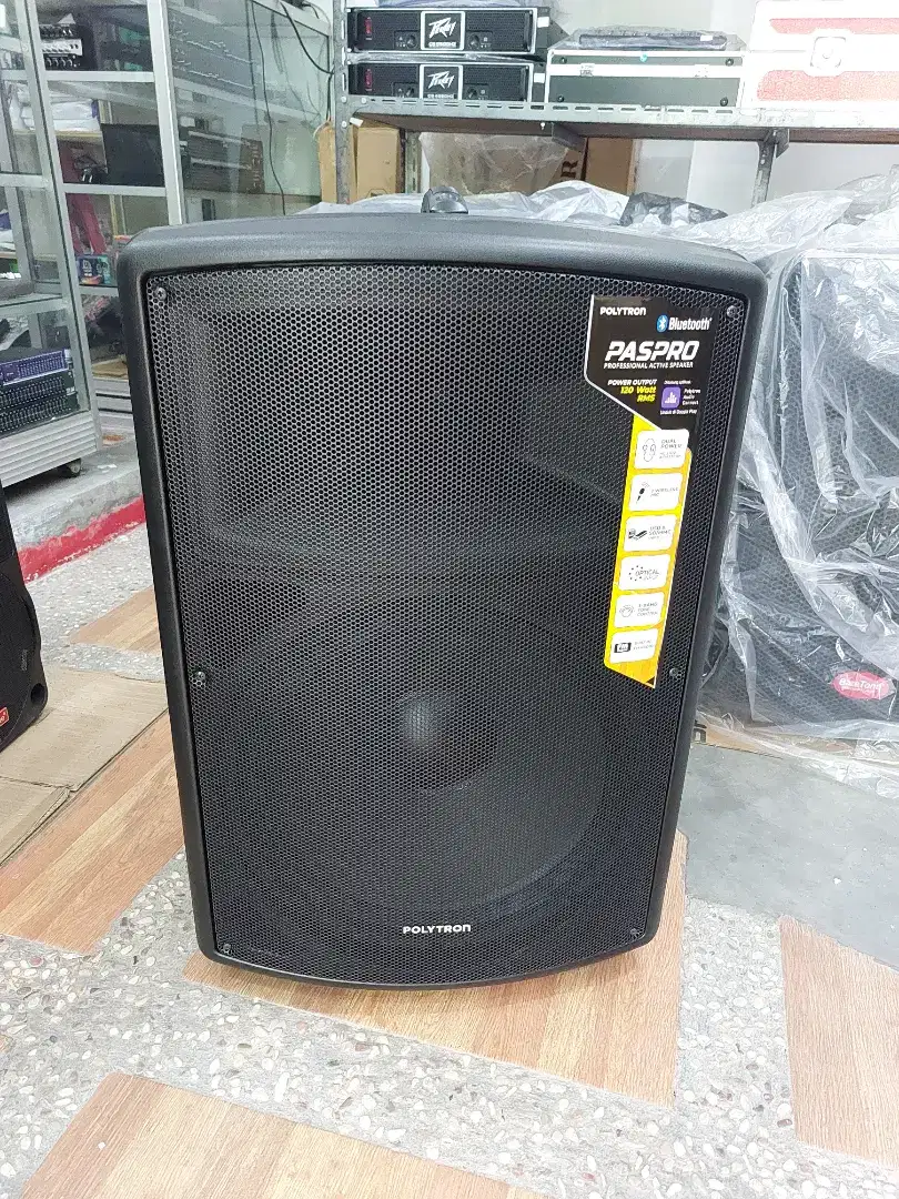 Speaker polytron paspro 15f3