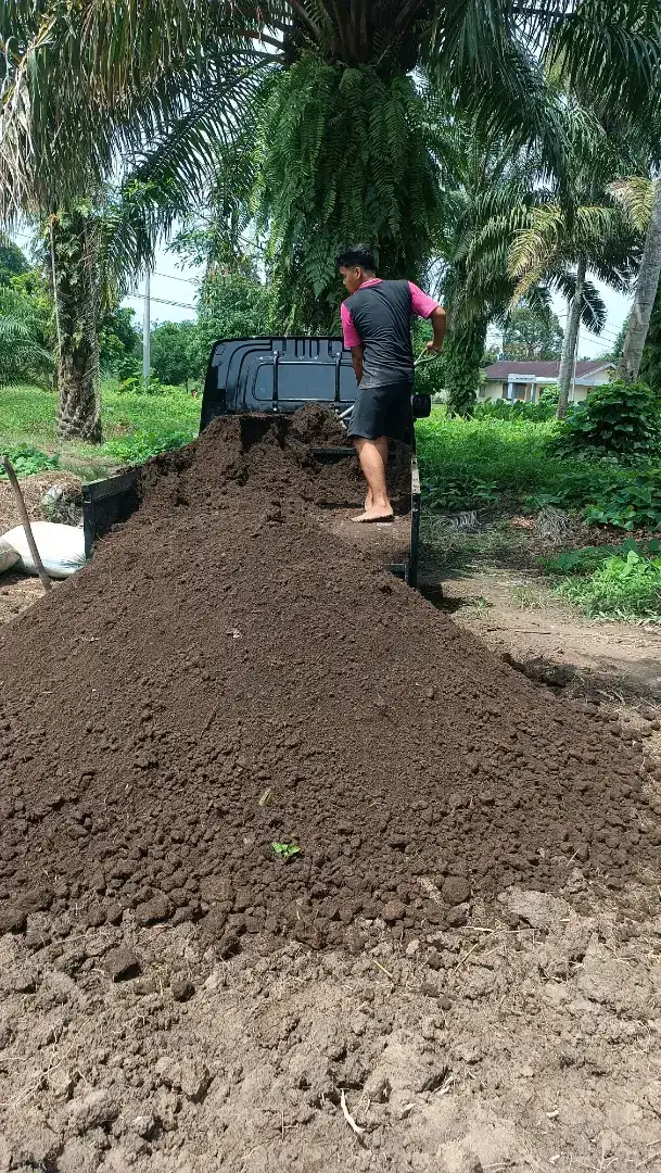 Jual tanah hitam topsoil