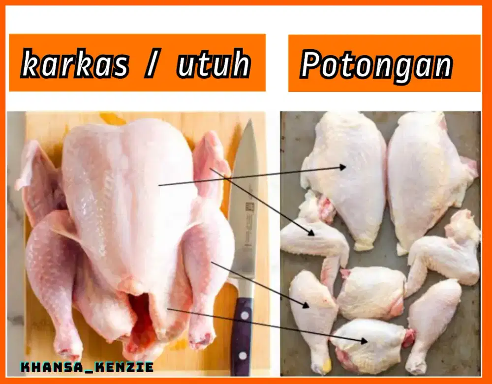 Ayam daging - potong - boiler - karkas - murah -fresh - segar