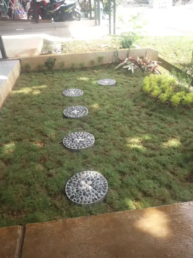 Tukang Taman jual rumput jepang +pemasangan rumput + jual rumput
