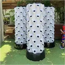 Vertical pineapple hydroponic