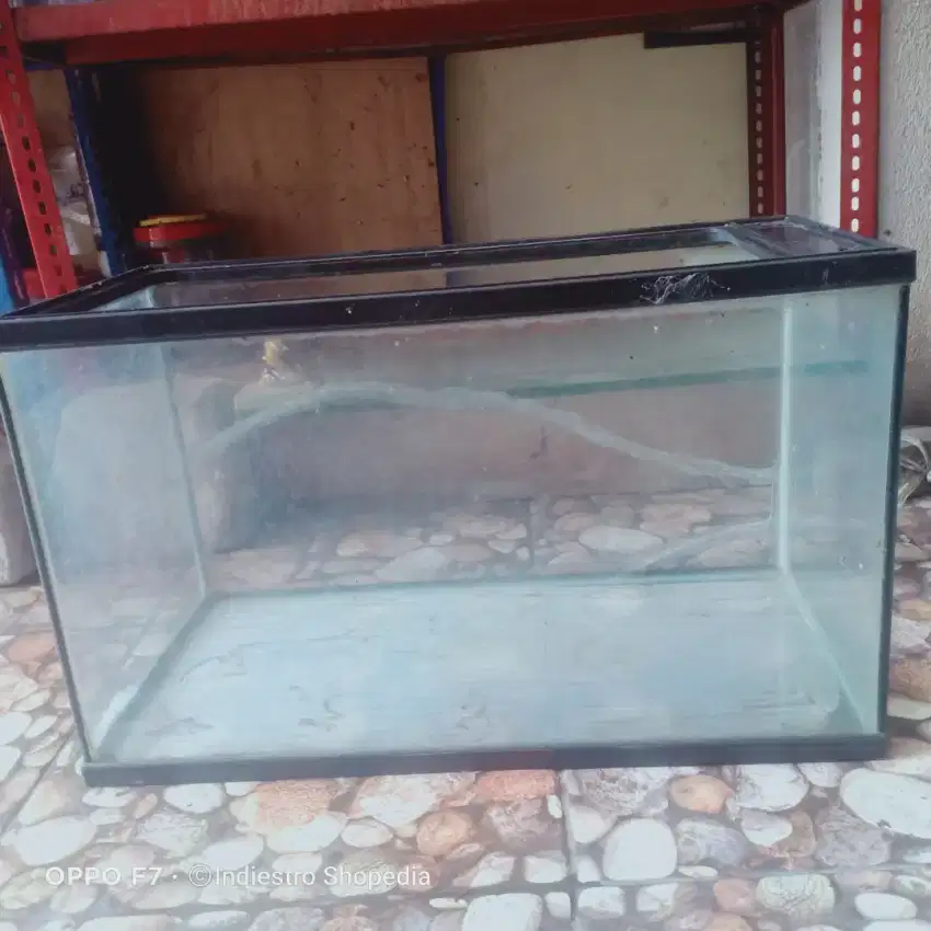 NIKITA Water Glass Tank Aquarium UK. 60 cm Minus