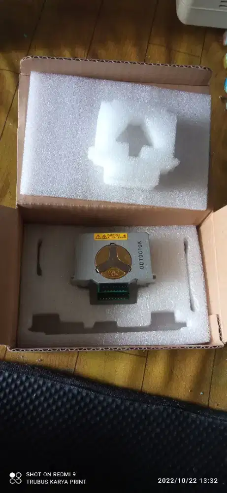 Print head epson LQ2190