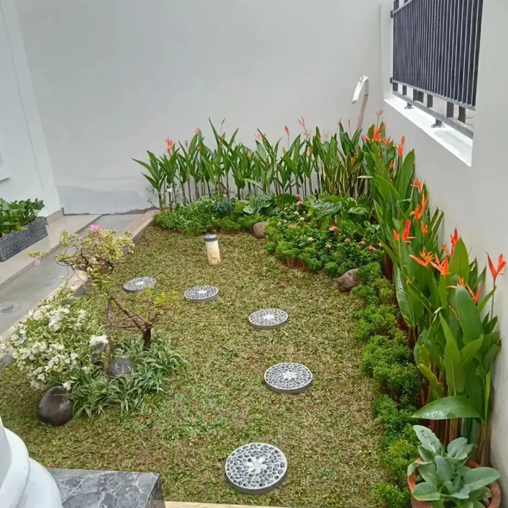 Tukang taman menjual berbagai macam jenis rumput