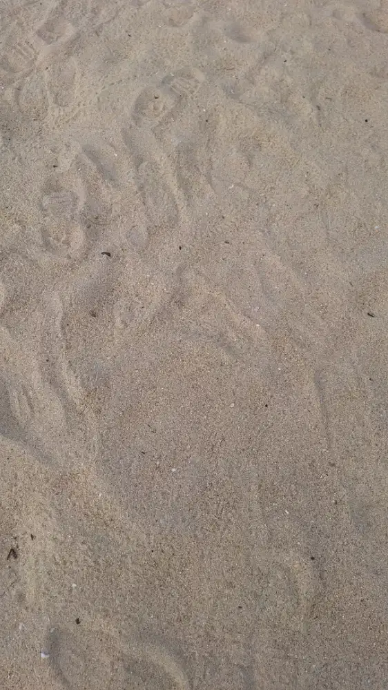 Dicari ART menginap (minggu-jumat)