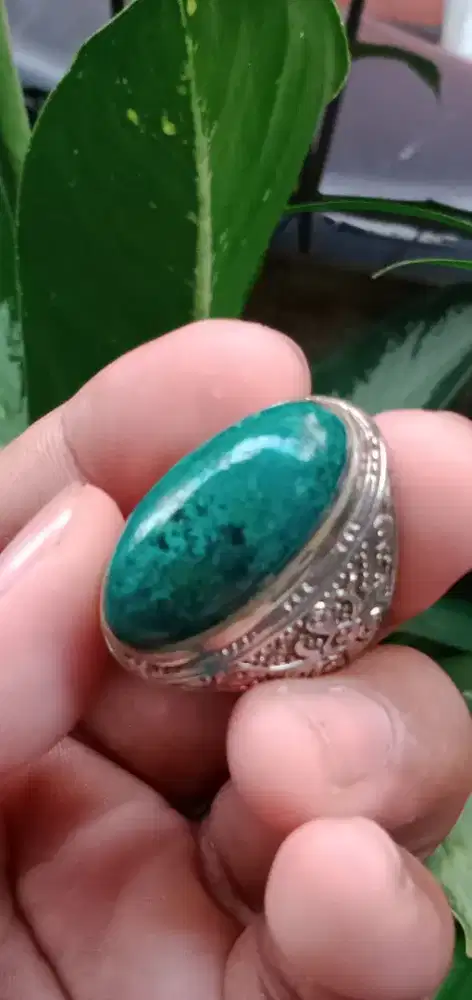 Bacan doko ( 291410 )