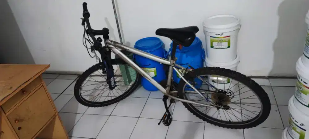 Sepeda Silver kondisi bagus.