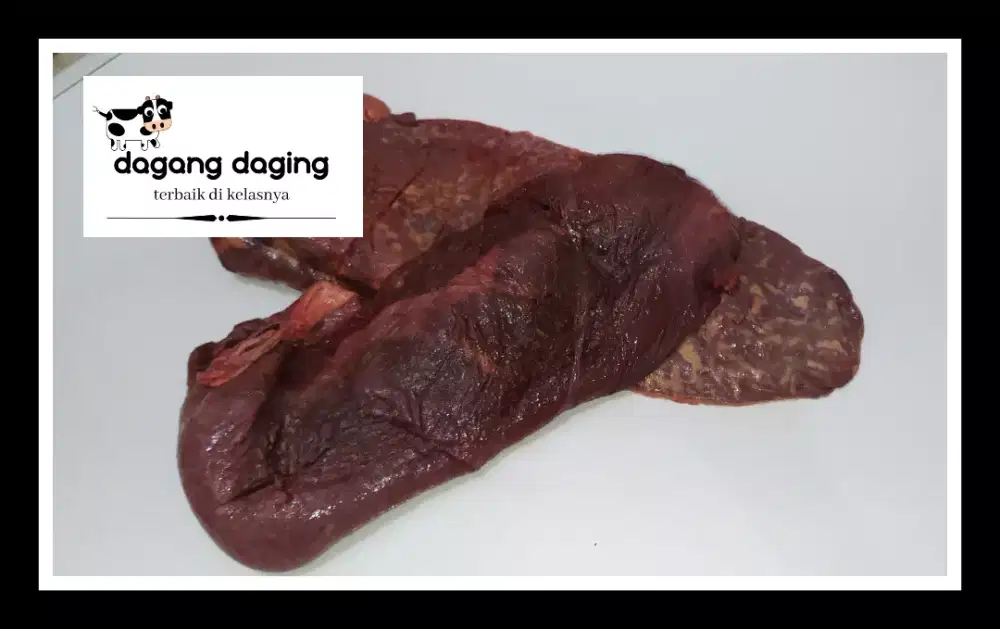 SUPPLIER LIMPA SAPI MURAH SURABAYA