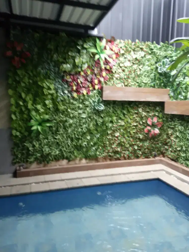 Tukang taman pertikal garden.