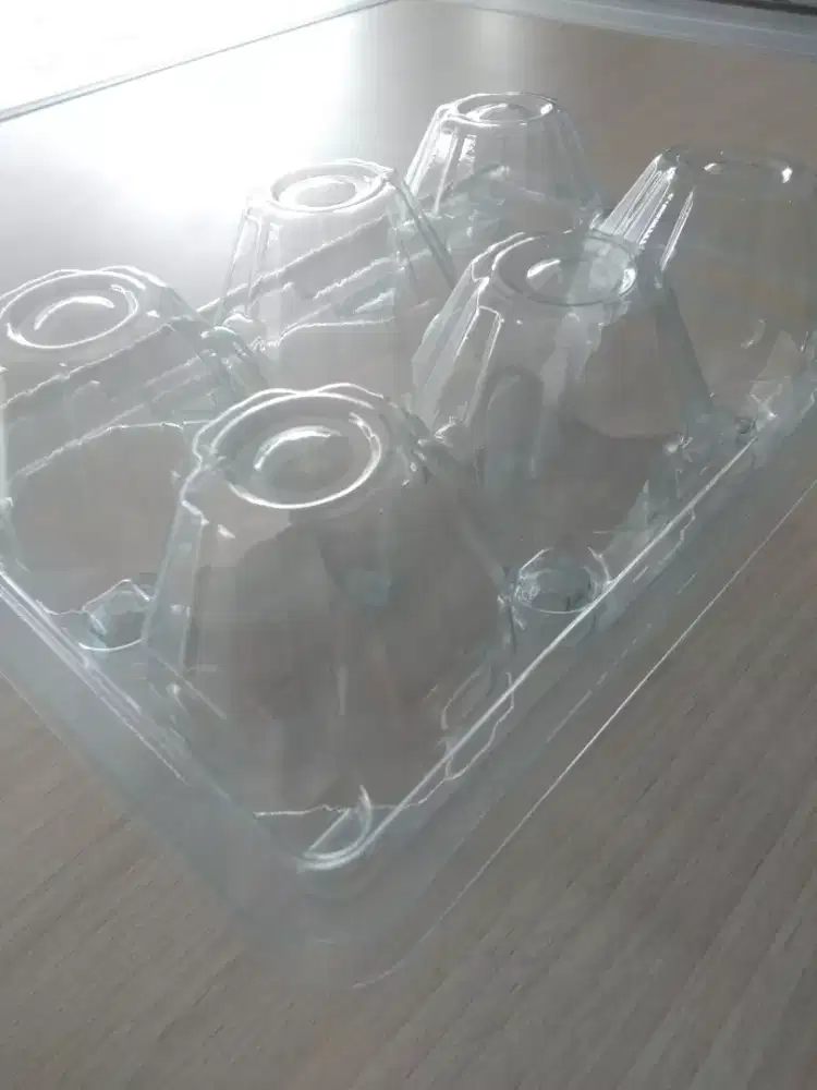 Egg Tray Plastik Mika 6 telur (50pcs)