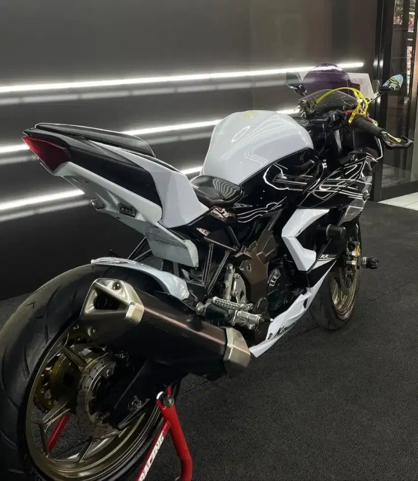 KAWASAKI NINJA 250 RR MONO