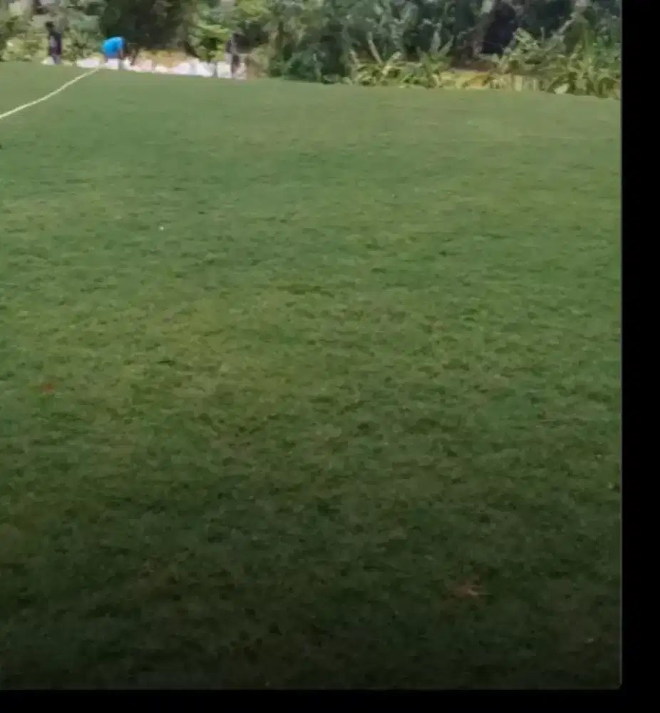 Tukang rumput taman.