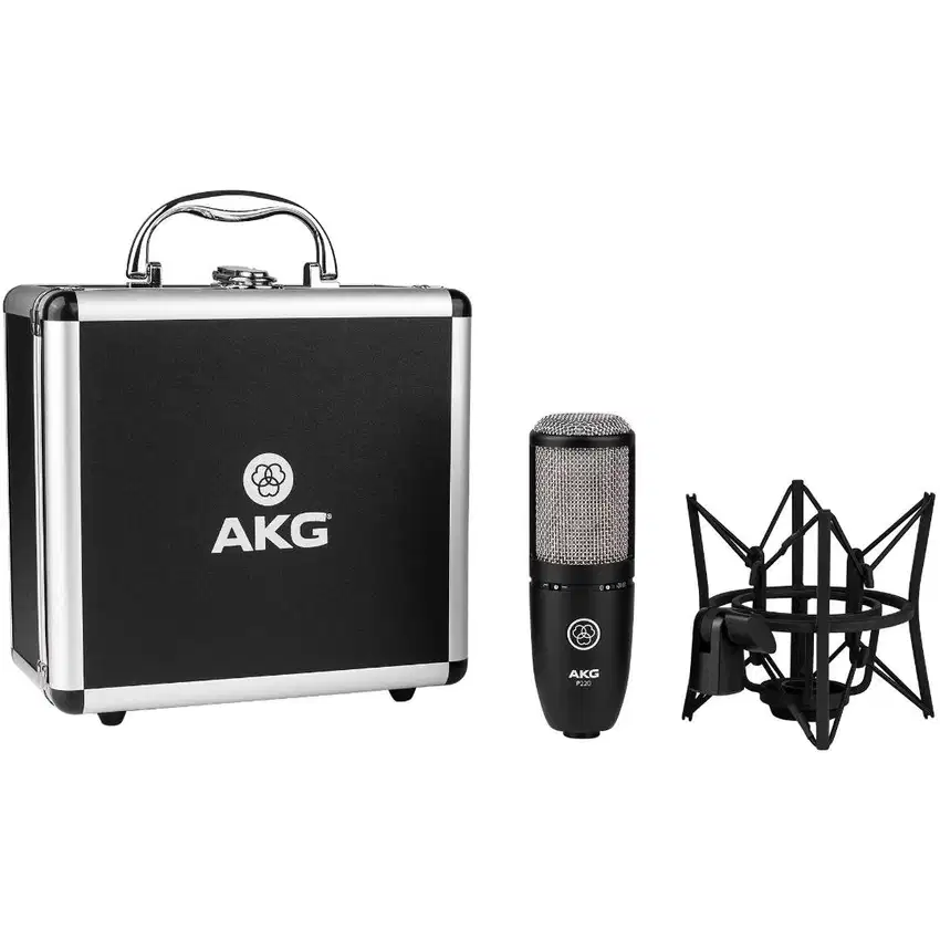 AKG P220 Large-diaphragm Condenser Microphone